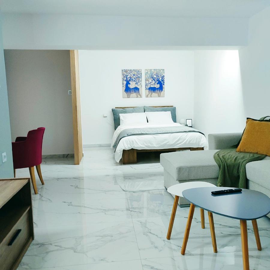 Unique By Perfect-Living Ιωάννινα Apartment ภายนอก รูปภาพ