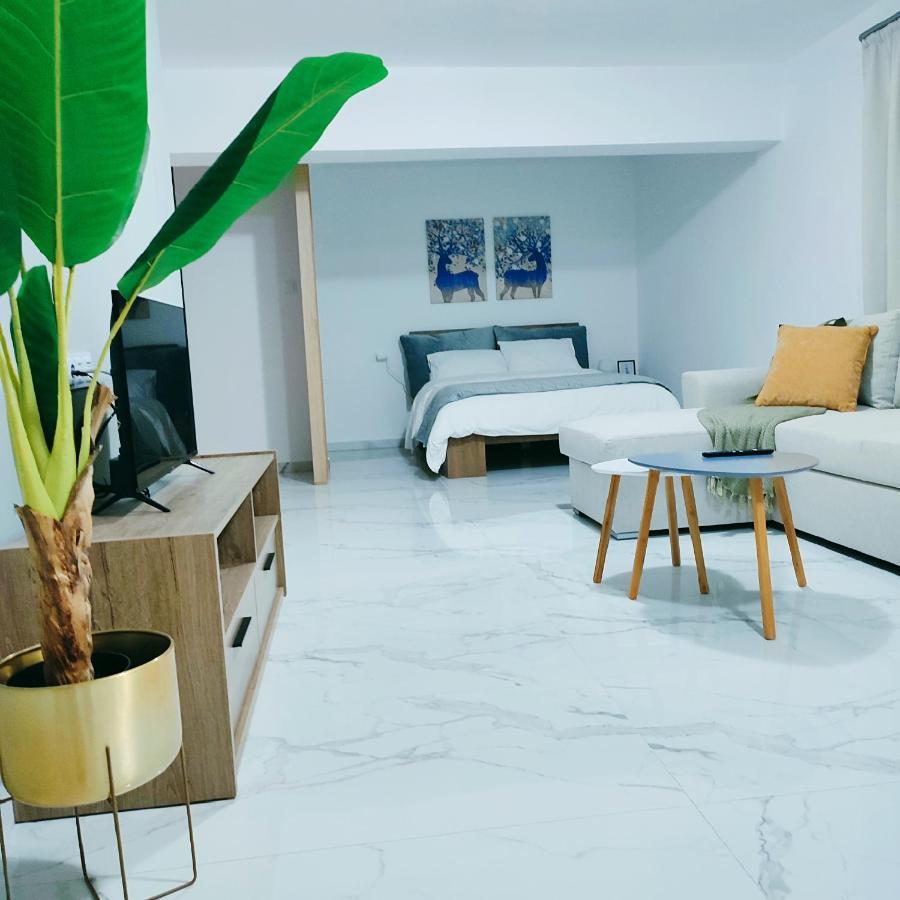 Unique By Perfect-Living Ιωάννινα Apartment ภายนอก รูปภาพ